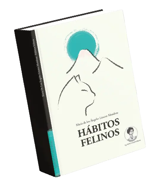 Hábitos Felinos Hábitos Felinos